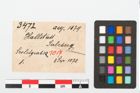 Etikett zu Bronzering (NHMW-PRAE-003472)